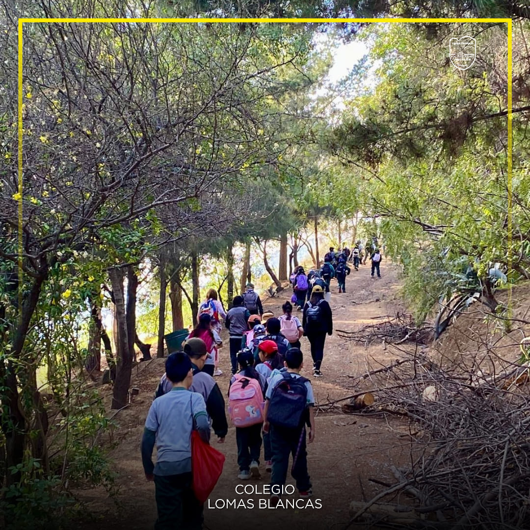 Actividad de estudiantes del Colegio Lomas Blancas